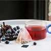 Revolution Fruit Tea [Blueberry, Vanilla & Hibiscus] Forgive 1.7 oz