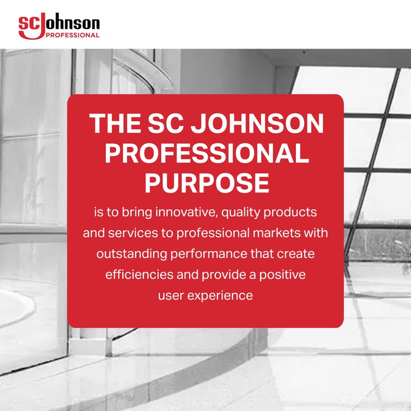 SC Johnson Professional Windex Glass and More Multi-Surface Cleaner, Windex