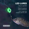 DunkTeam Deep Sea Fishing Lures Underwater Fishing Light Deep Drop