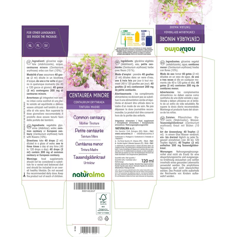 Common Centaury or European Centaury (Centaurium erythraea) herb with Flowers