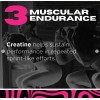Driven Nutrition Creatina Monohidrato Micronizado 200 G