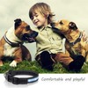 Light Up Dog Collar, Safety LED Dog Collars Rechargeable 7