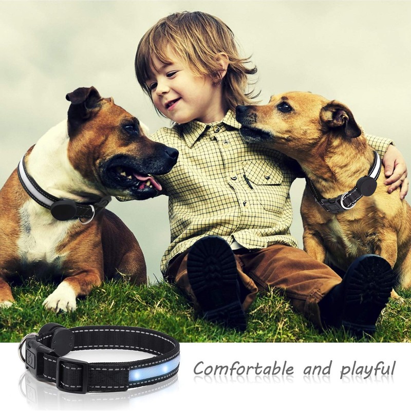 Light Up Dog Collar, Safety LED Dog Collars Rechargeable 7