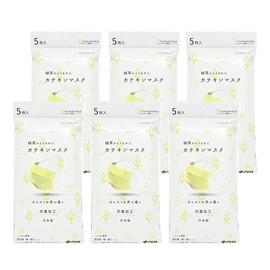 Catechin Mask, Antibacterial, Non-woven Fabric, Individually Packaged, 30 Sheets (5 Sheets x 6 Bags), Itoen