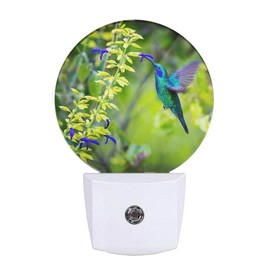 EKOBLA Blue Hummingbird Night Lights Plug into Wall Spring Garden Bird Flowers Green Plants Night Light with Dusk to Dawn Sensor for Boys Girls Grandma Grandpa Nightlight Sleep Friendly