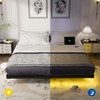 OLEVS King Size Floating Bed Frame, Metal Platform, with LED