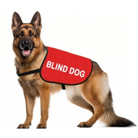 JXGZSO Special Needs Gift Blind Dog Jacket Vest Blind Dog Alerts Blind Dogs Walking Slogan Warning Vest (Blind Dog M)