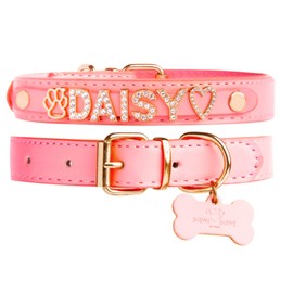 Paws Paws Miami Female Dog Collars with Custom Bling for Small, Medium and Large Girl Dogs
