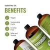 Lab Bulks Essential Oil Peppermint Essential Oil, 16 oz Bottle