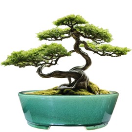 MUZHI 9” Glazed Oval Green Bonsai Planter Pot with Humidity Tray, Classic Neat Ice Crack Long Bonsai Tree Succulent Plant Pot with Saucer