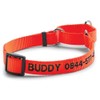 Orvis Dog's Martingale Collar, Blaze Orange - Medium