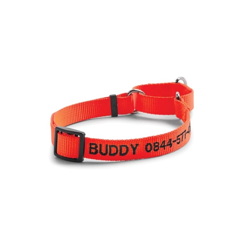 Orvis Dog's Martingale Collar, Blaze Orange - Medium