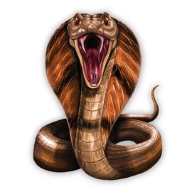 GT Graphics Express Cobra - 3" Vinyl Sticker - for Car Laptop I-Pad Phone Helmet Hard Hat - Waterproof Decal