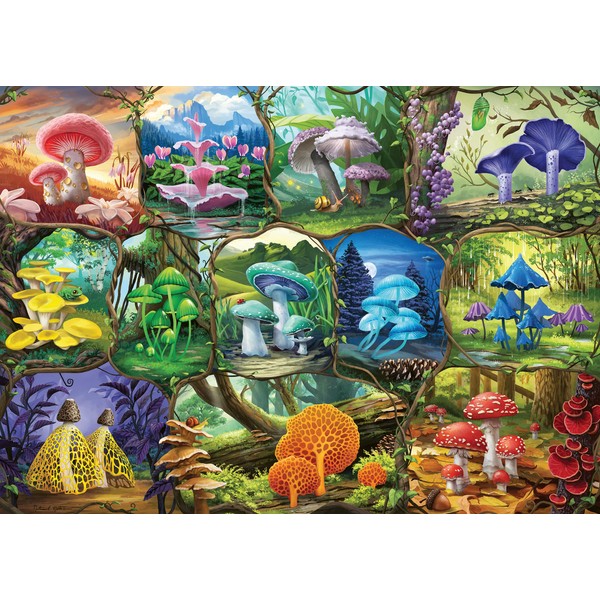 Ravensburger Beautiful Mushrooms 1000 Piece Jigsaw Puzzle for Adults -