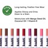 Kulfi Lassi Lips Staining Long-Lasting Moisturizing Lip Oil 0.12 oz