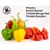 Bertie's Trinidad Pimento Sauce (10 Oz./300ml) | Adds Wonderful Flavour