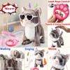Marsjoy Gray Leash Walking Cat Set Singing That Purrs and