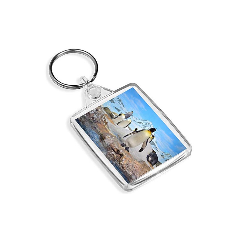 Majestic Emperor Penguin Keyring - IP02 - Antarctica Snow Birds