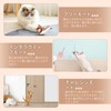 Interactive Cat Toy, Flying Bird Cat Toy, Bird Shaped Cat