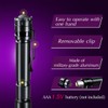 Ansyper CC UV Flashlight 2 Pack 395nm Ultraviolet, Black Light