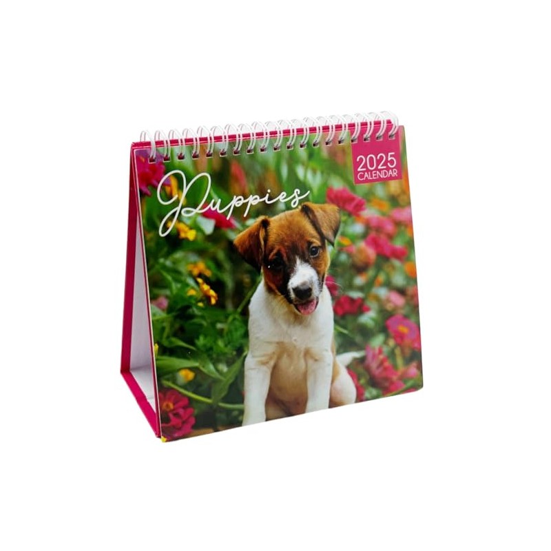 2025 Month to View Desktop Calendar Home Office Table Work