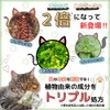Nekomote Surisuri Nya ~ W Sheet, Cat Toy, Cat Toy,