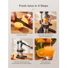 QCen Professional Cast Iron Manual Juicer, Heavy Duty Citrus Press