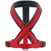 Hunter London Comfort Harness S-M/1
