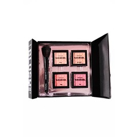 Profusion blush boutique rosette palette with a blush brush and 4 blushes
