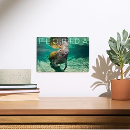 Lantern Press 6x9 Inch Wood Sign, Ready to Hang Wall Decor, Florida, Manatee, Photography