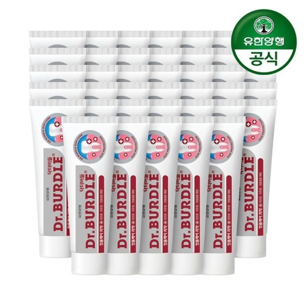 Dr. Willow Gum Care Toothpaste 100g x 40 / 닥터버들