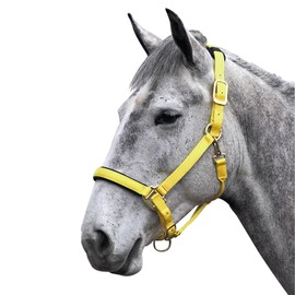 Shires Topaz Nylon Headcollar-Yellow Cob
