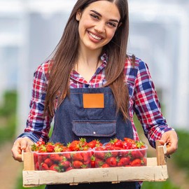 Realistic Fake Red Strawberries - Artificial Strawberry Fruit for Bowls and Vases - Pack of 48 Lifelike Faux Berries for Photo Food Props, Crafts, Grocery, Restaurant, or Bakery Displays