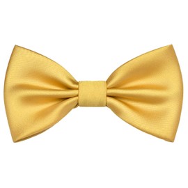 Branduce Gold Bow Ties for Boys Pre Tied Toddler Bow Tie Adjustable Silk Blend Kids Bowties for Wedding Party (BB12-42)