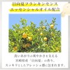 Airmeats AG Soap No. 8 (For Face Washing/Full Body) High