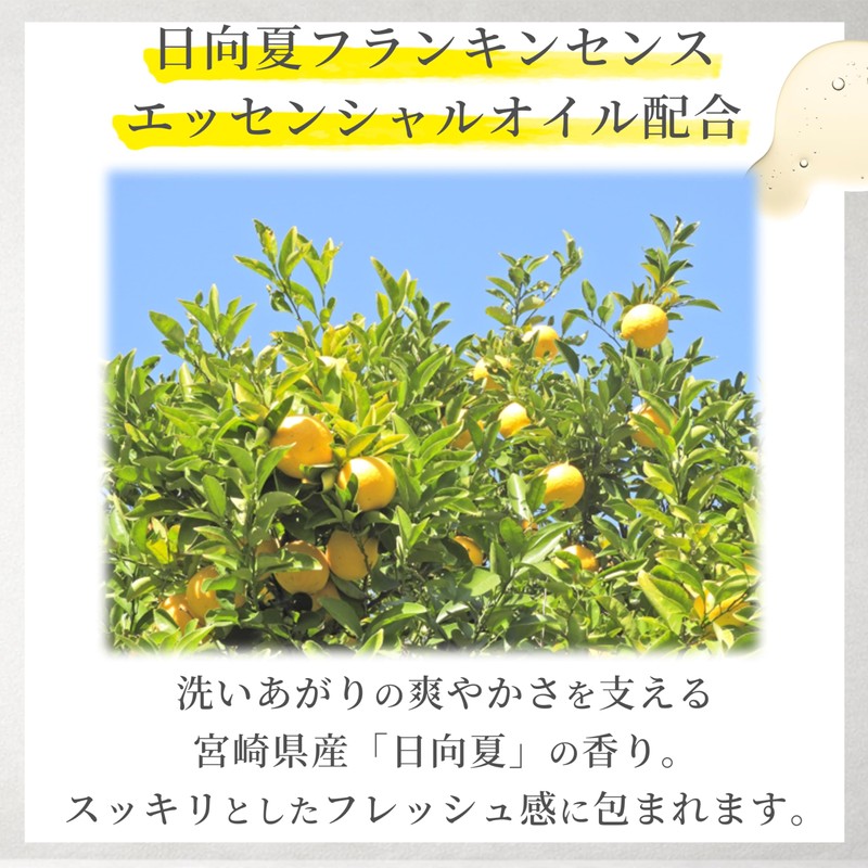 Airmeats AG Soap No. 8 (For Face Washing/Full Body) High