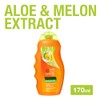Makarizo Conditioning Shampoo, Aloe & Melon, 6.1 fl oz (170