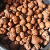 Hydro Clay Pebbles (Leca Stones) Orchid/Hydroponic Grow Media - 2