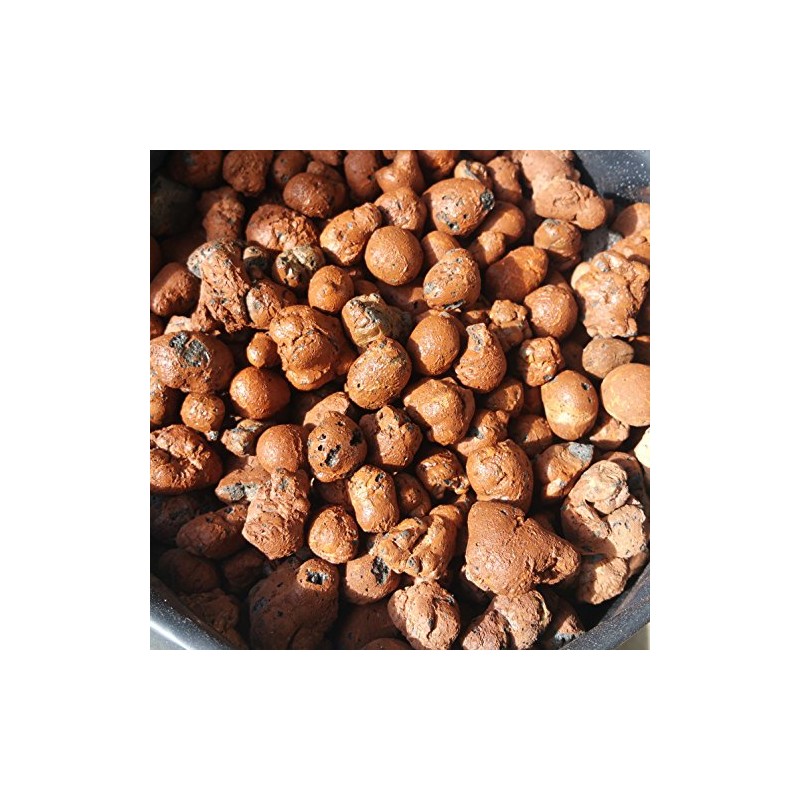 Hydro Clay Pebbles (Leca Stones) Orchid/Hydroponic Grow Media - 2