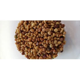 Guatemalan Chipilin Seeds/Semillas de Chipilin, Guatemala Long Leaf, Organic, 50 Seeds!