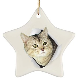 Funny Manx Cat Tabby Coming Out of Cracked Wall Gifts 2024 Christmas Tree Ornaments Ceramic Star