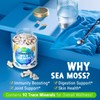 MAJU 4-in-1 Organic Sea Moss Capsules, Wild Chondrus Crispus, Seamoss