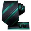 Hi-Tie Men's 63 Inches Extra Long Tie and Silk Pocket