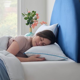 Linenspa Shredded Memory Foam 2 Pack Pillow, Standard (Pack of 2), White 2 Count