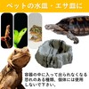 SAKIRABITO Reptile Bait Container Reptilock Reptile Food Dish Amphibian Water