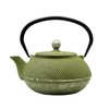 SECHUDO Cast Iron Teapot Tea Kettle with Stainless Steel Infuser