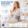 Ionic Foot Bath Detox Machine, Portable Ionic Detox Foot Spa