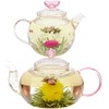 Flores de té florecientes de rosas – My Growing Love