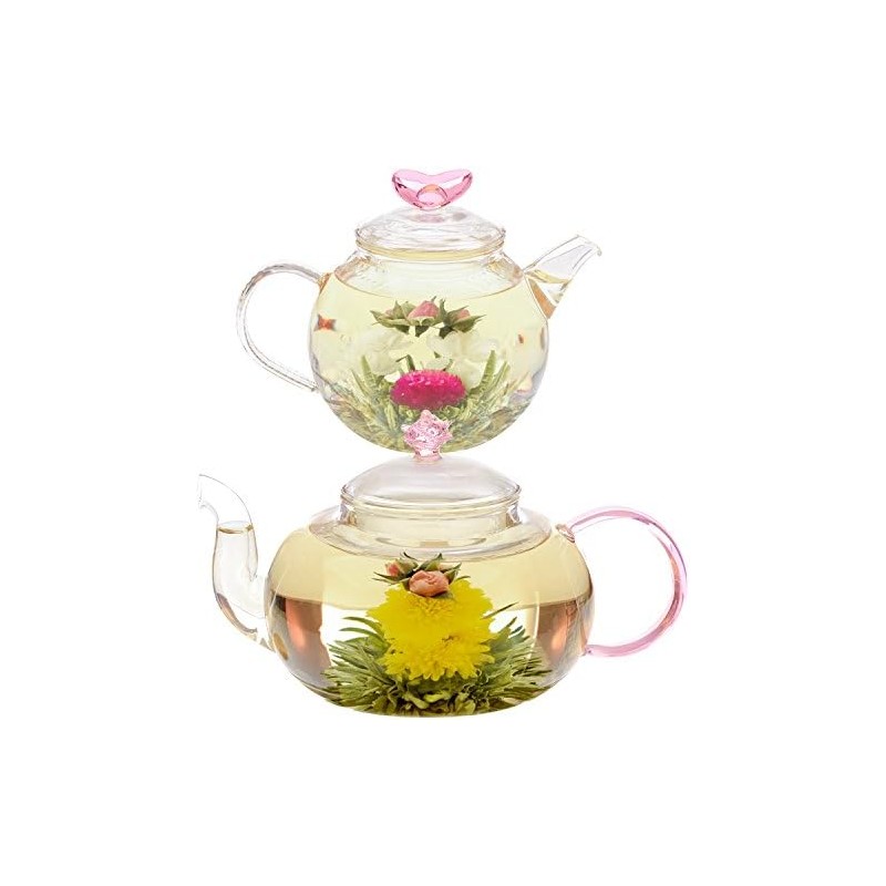 Flores de té florecientes de rosas – My Growing Love
