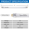 Wesome Lighting 8 Pack 12 Inch F8T5/DL Fluorescent Light Bulb,